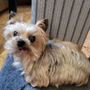 Diane Raymond - @Di194900 - Twitter