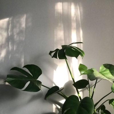 icix0's profile picture. أذكرو فقيدتنا بدعوه🤍