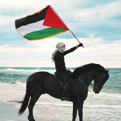 I stand with palestine people🇵🇸