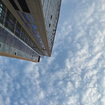 wbl2694621310's profile picture. 喜欢读书