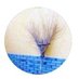 Lalijalijando (@yoconmiparrus) Twitter profile photo Lalijalijando (@yoconmiparrus) Twitter profile photo