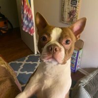 Mark (@mgerardgurnett) 's Twitter Profile