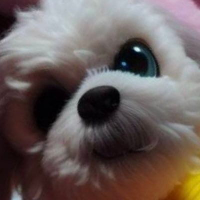 アイコンは息子💖 今はお空に出張中😃呪術師は去年で卒業❣️動画上げてますhttps://t.co/sAdr25B16c フォロバせんからフォローせんとって🙏自己満足のTwitterでんねん w 🐶シーズー🌈組