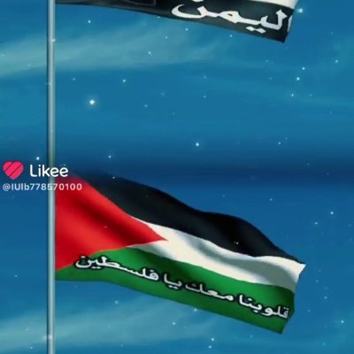 يمني محب لفلسطين