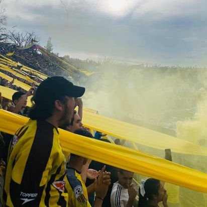 Hincha del Deportivo Táchira