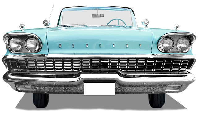 mrmelos3's profile picture. 😺