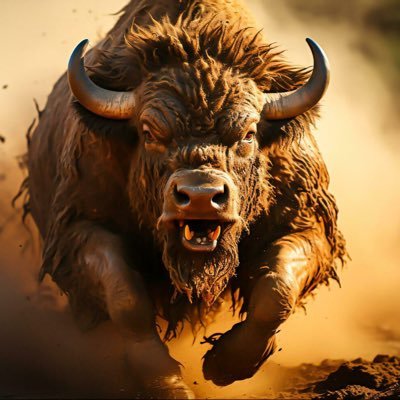 stallionsabre's profile picture. 🌴