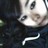 dfuse81's profile image