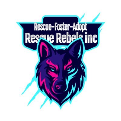 Rescue Rebels Inc - 