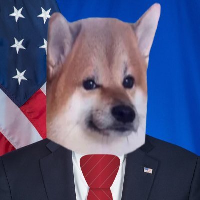 USAmbNAFO's profile picture. Foreign Policy/NatSec expert. Ex-Spy @NATO
Former Professor. Part-time propagandist
Follow our leaders:@POTUS @SecBlinken
#NAFO 🇺🇸🇪🇺