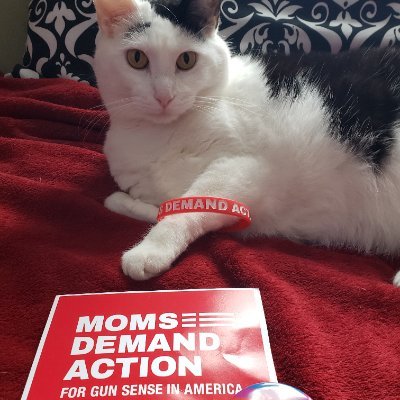 Mom l Gun sense voter l @momsdemandaction l Independent thinker l Dyslexia Specialist and Advocate l #fundlibraries I All opinions are my own. she-her