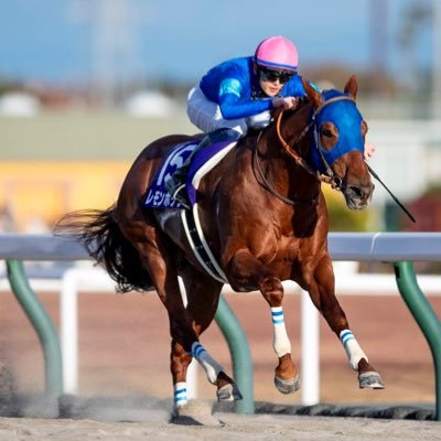 月曜から競馬