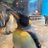 penguin__omuaaa