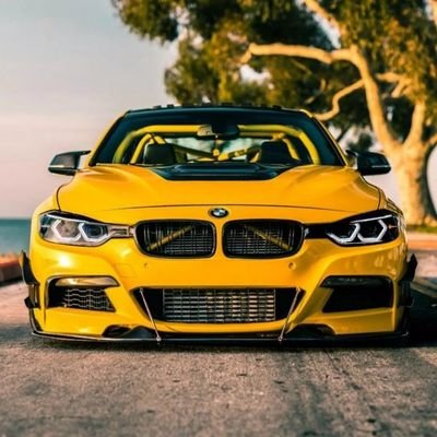 segsycars Profile Picture