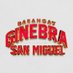 Barangay Ginebra San Miguel (@brgyginebraphl) Twitter profile photo