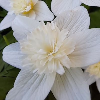 癌も乗り越えて、これからっと思って
いた私でした💚人生は甘くないですね✨️
皆様との一期一会を大事に楽しく
頑張る💪wオバチャンです🤣🤣
フォロー返しは相手様のポストで
判断。鍵垢は慎重‼️です。
イイネ❤は拝見、共感、応援などです。
エロ❌投資❌詐欺❌DM挨拶❌
全て通報ブロックします。
