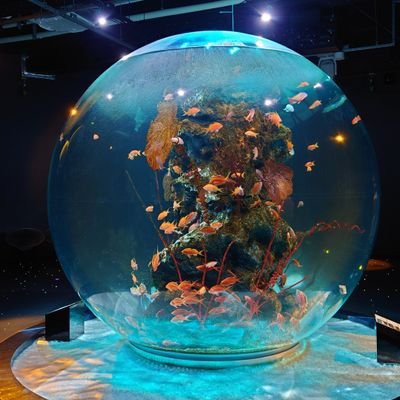 Rad76790's profile picture. Minecraftをこよなく愛す🐔。
急にハマるゲームがくる🍉
工場夜景と橋と寺院神社が好物🛕⛩
急に車でどこまでも遠出する
食いしん坊で普段抑制してる分たまに爆発🍜🍣🍙🥃🍺