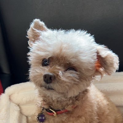 HalMQNn6r7xF3BP's profile picture. 