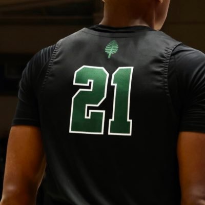 DartmouthMBB #21🌲 | 6’8 Wing | Beyond blessed to play the game I love STL ✈️NH  MICDS ‘22 Dartmouth ‘26