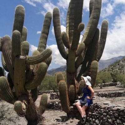 Amante de los cactus y las suculentas🌵🌱🌿🪷🌸💙🌺

Dios es bueno🪄🪄🫶✨