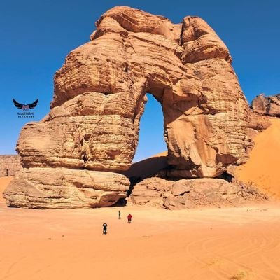 mhmdswysy16's profile picture. 