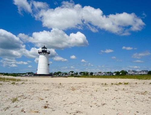 Guided Tours and Activities on Martha's Vineyard. Tours include: Jaws 'Amity' Tour, Paddle Boarding, Private All-Island Tours, and Edgartown History Tours