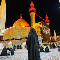 Syeda Laraib Kazmi (@laraibkazmii) 's Twitter Profile
