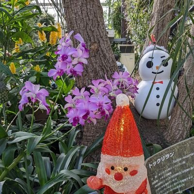 令和4年生まれ👧 関西🌉ママです✨ママさんとお話できたらいいなと鍵なしで作りました。
まったりお話できたら嬉しいです🫶
無言フォロー失礼します。オタクです🙇
趣味ツイートよくします。