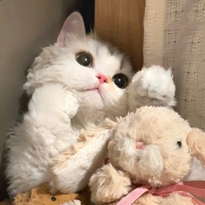 DearCare_'s profile picture. 互粉💕 Fo me 爱祖国 爱生活🇨🇳🇨🇳