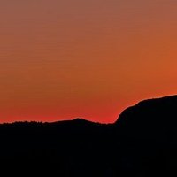 Roxanne Reeves (@roxanner77032) 's Twitter Profile