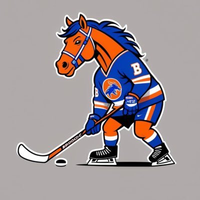 The Official Twitter account of the Boise State Bronco Club Hockey team in the American Collegiate Hockey Division. 🐴🏒