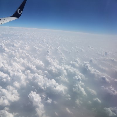 SDRZJX's profile picture. 二八佳人体似酥，腰间仗剑斩凡夫。虽然不见人头落，暗里教人骨髓枯。红粉佳人体态妍，相逢勿认是良缘。试观多少贪花辈，不削功名也削岁。春心—动弃千般，只为须臾片刻欢，损德招灾都不管，爱河浪起自伤残。