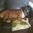pat_walker16's profile image