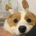 momo (@mosivey) Twitter profile photo momo (@mosivey) Twitter profile photo