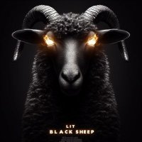 ♒Litt Black Sheep !! ✨🇬🇭 (@avilwin) 's Twitter Profile