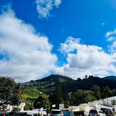 Baskkey's profile picture. 