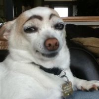 atr ahre (@atrahre) 's Twitter Profile Photo atr ahre (@atrahre) 's Twitter Profile Photo
