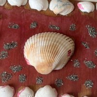 モト ソウチョウ（寄り添う系 税理士） (@moto_sootyooo) Twitter profile photo