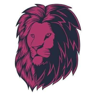 ibrahimbachirii's profile picture. Full Stack Web Developer