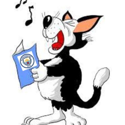 I support Man City FC / I like to meowin' encourage everyone and have a bit of friendly meowin' banter / I live with a border collie called Barney Blue Moon