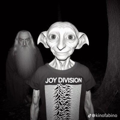 DonLinoETH's profile picture. 