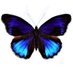 Tammy Lilly-McFadden (@mcfadden_l82694) Twitter profile photo Tammy Lilly-McFadden (@mcfadden_l82694) Twitter profile photo