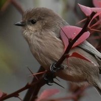 📷 jennifer jones 📷 (@jnj2day) 's Twitter Profile Photo