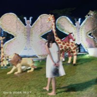 Lizzz (@anilyzza) 's Twitter Profile