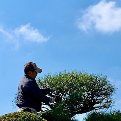 樹木・ガーデニング役立ち情報、中小企業社長の忙しい生活。S50年生、造園会社創業、神戸の植木屋⭐︎クロダシャチョー でYouTube。国家試験の解説書「読むだけセコカン」はAmazonベストセラー1位🏆弟子募集!未経験者の積極採用!人生やり直せる会社(令和7年は募集終了)、kintoneでDX、ブルバ100
