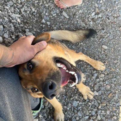 AlexDdrago's profile picture. 