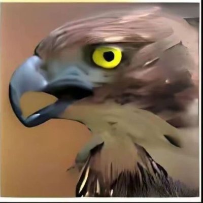 RuokF69068's profile picture. 