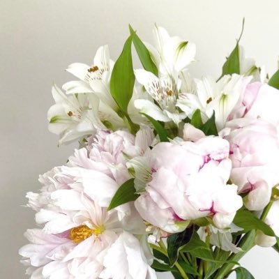 lamaSAlMousa's profile picture. 