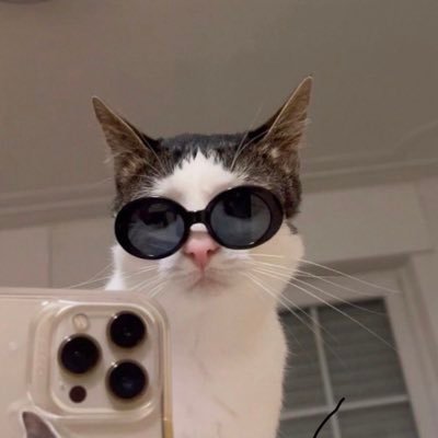 montmirez's profile picture. 