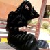 ملكة جمال صنعاء♥🌹 (@zalqtmt65361) Twitter profile photo ملكة جمال صنعاء♥🌹 (@zalqtmt65361) Twitter profile photo